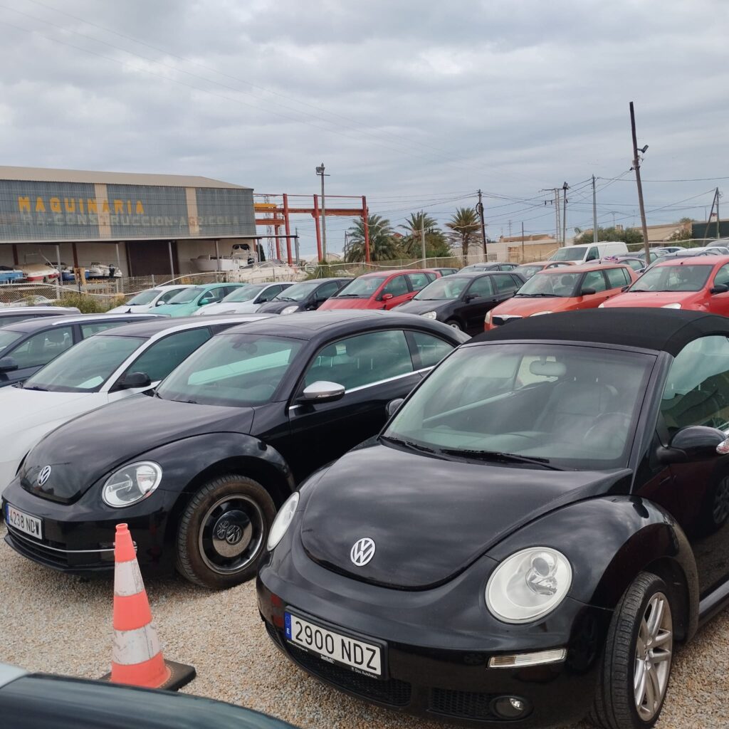 Volkswagen Beetle