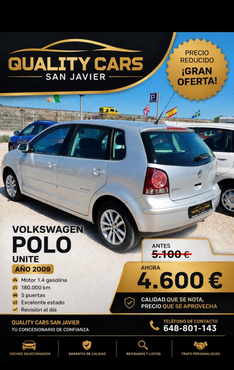 Volkswagen Polo 5 gris